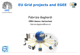 EU Grid activity and future EGEE project