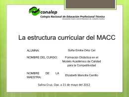 La estructura curricular del MACC
