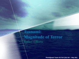 Tsunami: Magnitude of Terror