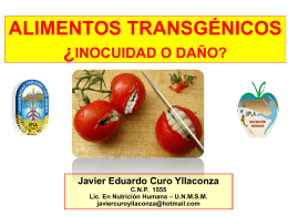 Seguridad alimentaria y alimentos transgénicos