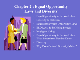 Chapter 2 Workplace Diversity