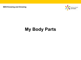 My Body Parts - Northern Ireland Curriculum »
