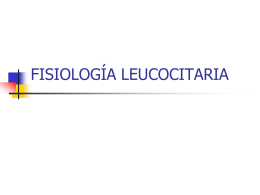 Fisiología leucocitaria I