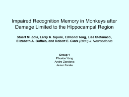Impaired Recognition Memory in Monkeys after
