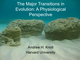 The Major Transitions in Evolution: A