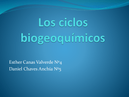 Los ciclos biogeoquímicos