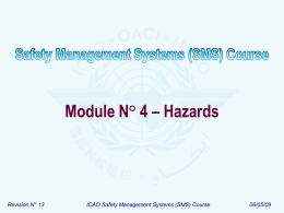 ICAO SMS Module 04
