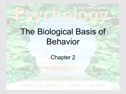 Chapter 2 - Biological Basis of Behavior