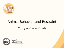 Animal Behavior and Restraint : Companion Animal