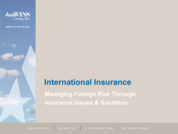Managing Foreign Risk Through Insurance Issues &