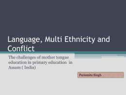 Language, Conflict and Primary Education