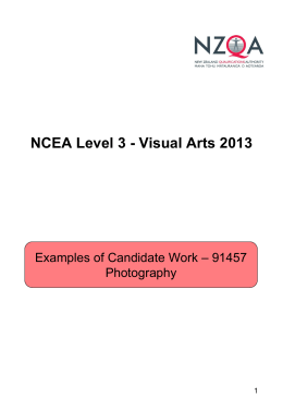 NCEA Level 3 - Visual Arts 2011 - Photography -