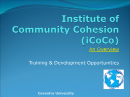Institute of Community Cohesion (iCoCo)