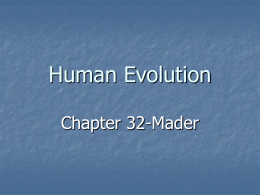 Human Evolution - Bloomsburg University of