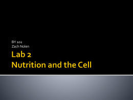 Lab X Nutrition and the Cell