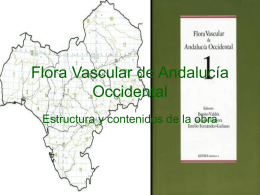 Flora Vascular de Andalucía Occidental