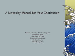 A Diversity Manual for Your Institution