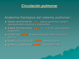 Diapositiva 1 - Fisiología II Periodo 2013 FCM |