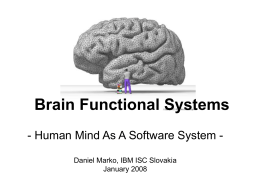 Funkčné systémy mozgu