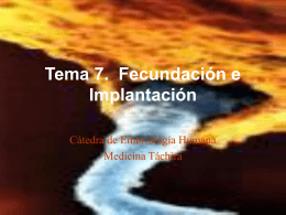 Tema 7. Fecundación e Implantación
