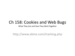 Cookies and Web Bugs What They Are and How They