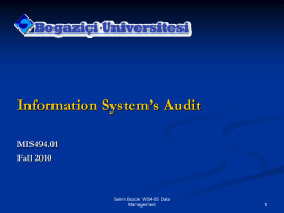 Information Technology Auditing - CIMS
