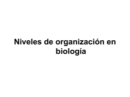 Niveles de organización en biología