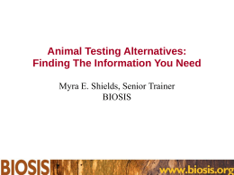 Animal Testing Alternatives: Finding The