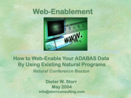 Web-Enablement - Storr Consulting