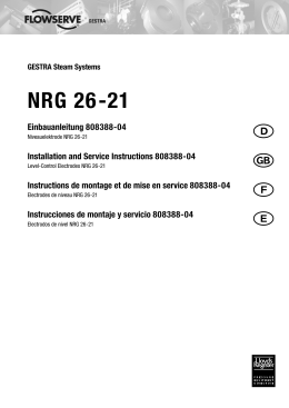 Electrodos de nivel NRG 26-21