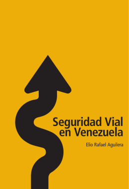 Seguridad Vial en Venezuela - Instituto Nacional de Transporte