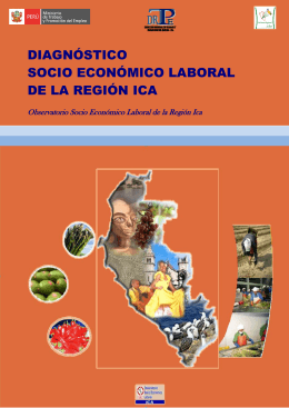diagnóstico socio económico laboral de la región ica