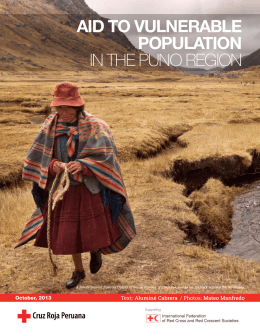 Aid to vulnerAble populAtion in the Puno Region