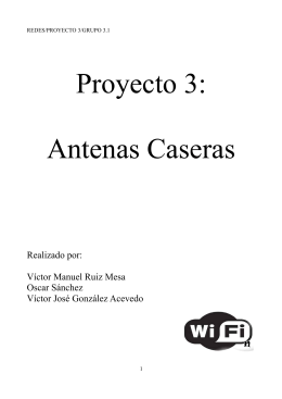Proyecto 3: Antenas Caseras
