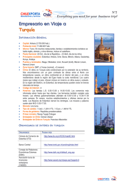 Empresario en Viaje a Turquía - SEO o el Posicionamiento Web