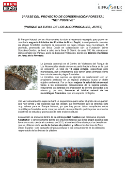 Acción forestal Net Positive de Brico Depôt en Jerez