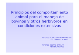 Principios del comportamiento animal para el manejo de bovinos y