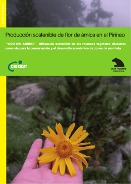 Producción sostenible de flor de árnica en el Pirineo