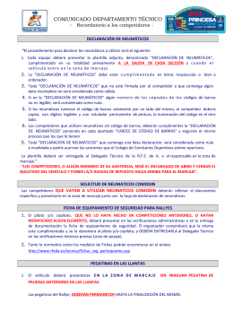 Normativa de control de neumáticos (fichero pdf)