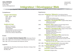 Intégrateur / Développeur Web