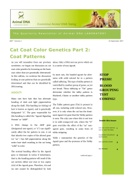 Cat Coat Color Genetics Part 2: Coat Patterns