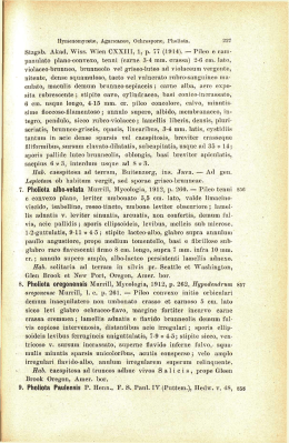 Stzgsb. Akad. Wiss. Wien CXXIII, 1, p. 77 (1914). — Pileo e cam