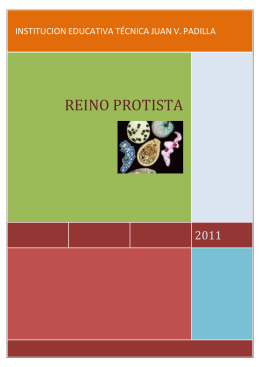 REINO PROTISTA - Institución Juan V Padilla