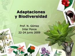 Adaptaciones y Biodiversidad