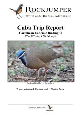 Cuba - Caribbean Endemic Birding II Mar 2015