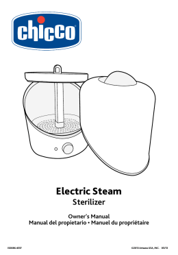 Electric Steam