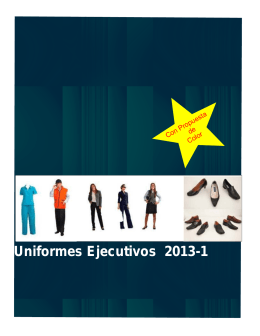 Uniformes Ejecutivos 2013-1