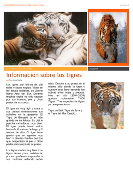 Información sobre los tigres