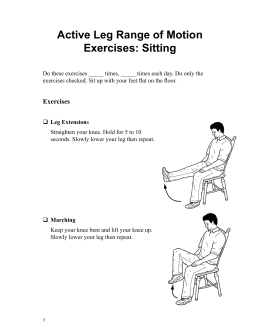 Active Leg Range of Motion Exercises: Sitting - Spanish