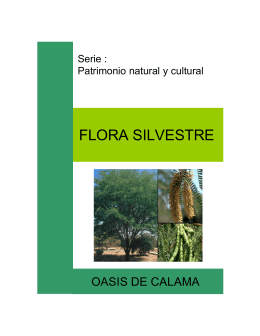 FLORA SILVESTRE - Centro de Estudios Agrarios y Ambientales